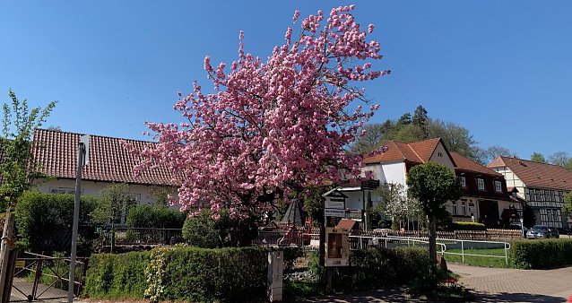 Bild: Wetter