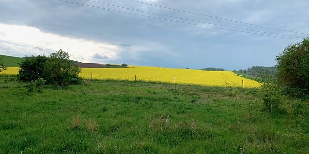 Bild: wetter