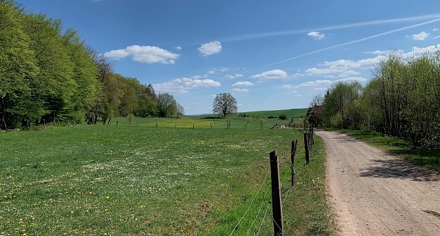 Bild: Fr&uuml;hling im Vorharz
