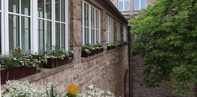 Bild: Sommerbepflanzung im Stadtgebiet