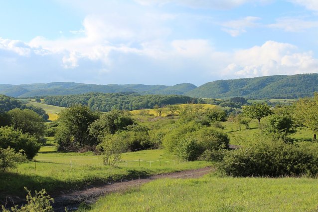 Bild: Karstlandschaft am s&uuml;dlichen Harzrand