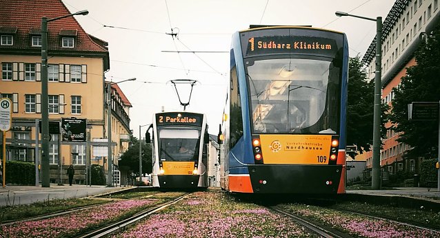 Bild: Stra&szlig;enbahn Nordhausen