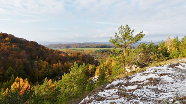 Bild: Ein freiwilliges Jahr in der Natur - Interessenten k&ouml;nnen sich jetzt beim Naturpark S&uuml;dharz bewerben