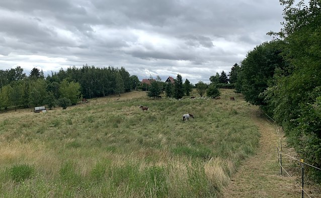 Bild: Nordhausen Nord