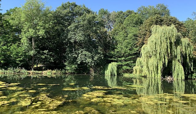 Bild: Parkteich