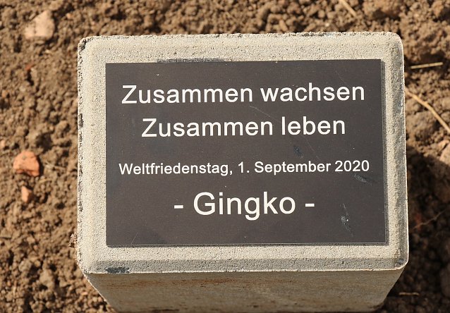 Bild: Ein Gedenkstein weist auf den Anlass der Pflanzung hin