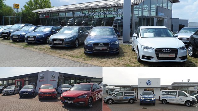 Bild: Die Albertsmeyer Gruppe feiert ihr f&uuml;nfj&auml;hriges Jubil&auml;um in Nordhausen