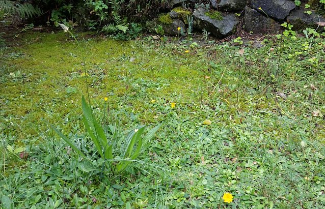 Bild: In der Natur