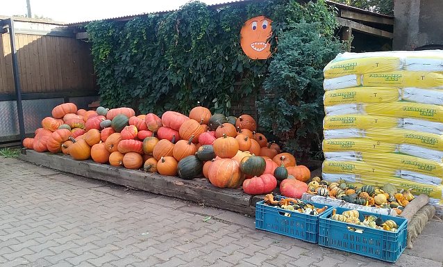 Bild: Nordh&auml;user Markt im Herbst