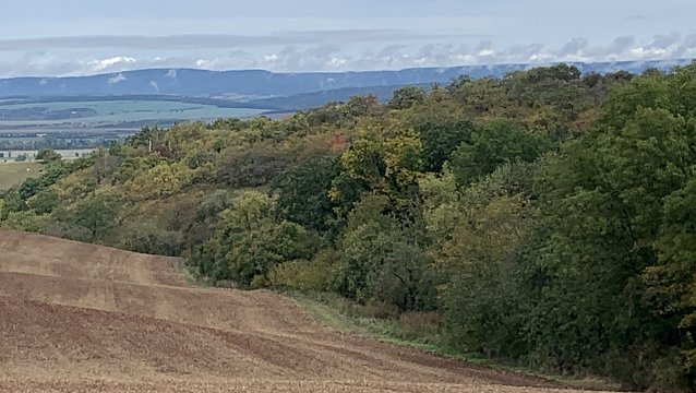 Bild: Feld bei Auleben