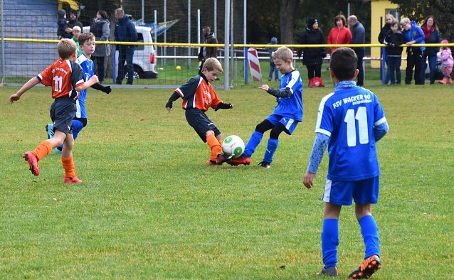 Bild: Wacker U9 - Ellrich