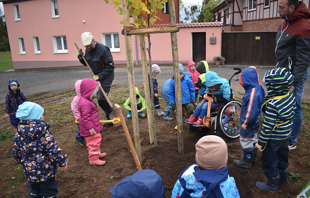 Bild: Die Kleinen Entdecker und ihr Baum