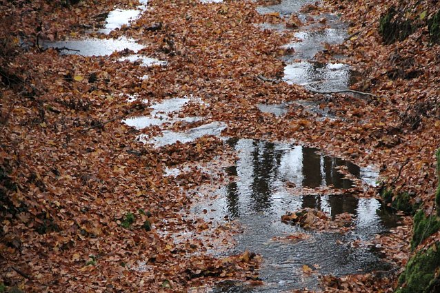 Bild: Wetterbild