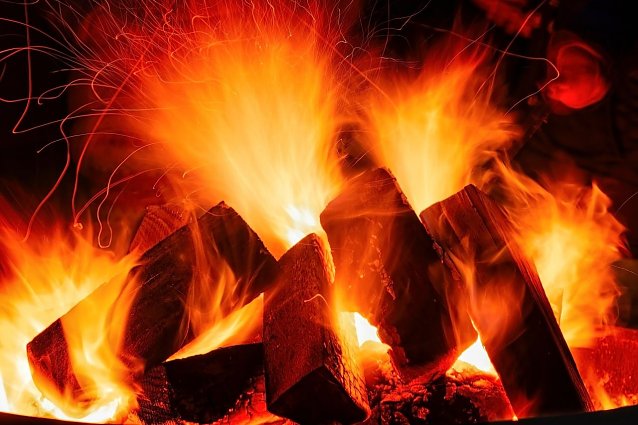 Bild: Feuerholz f&uuml;r die kalte Jahreszeit