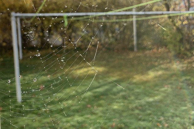 Bild: Herbststimmung