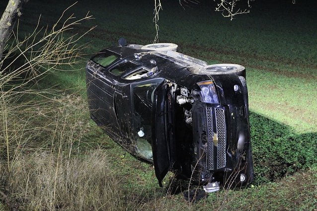 Bild: Wildunfall bei R&uuml;digsdorf