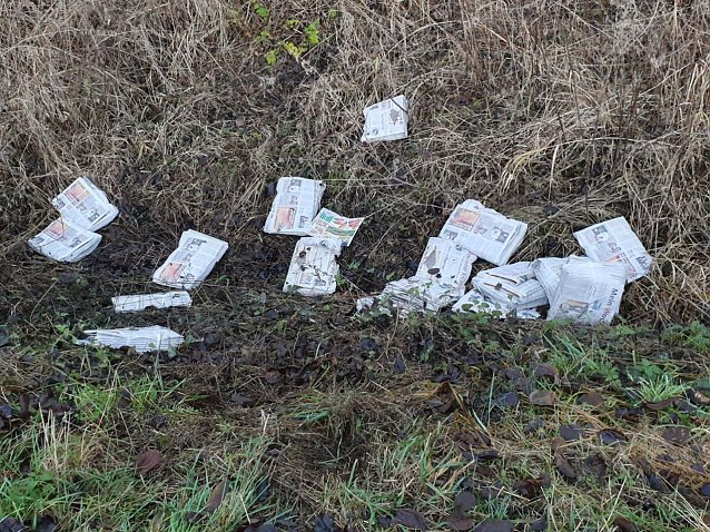 Bild: Papierm&uuml;ll an der Salzaquelle