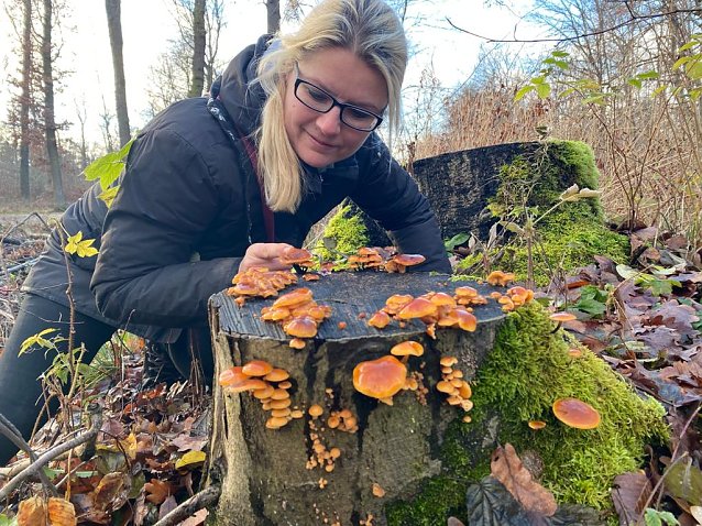 Bild: Auch im Winter sind Pilze zu finden