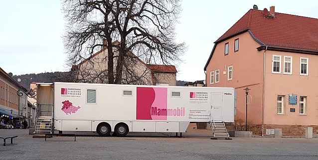 Bild: MAMMOBIL 