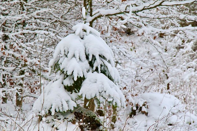 Bild: Wetterbild