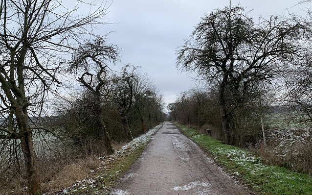 Bild: In der Windl&uuml;cke in Nordhausen