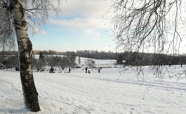 Bild: Viele Familien nutzten das sch&ouml;ne Winterwetter heute ihn Sophienhof