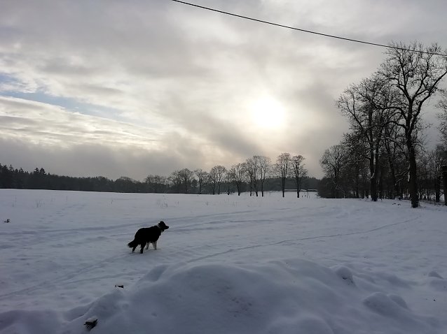 Bild: Im oberen Harz