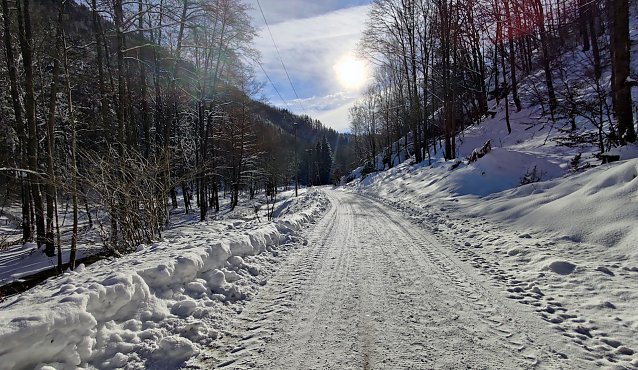 Bild: Im Brandesbachtal