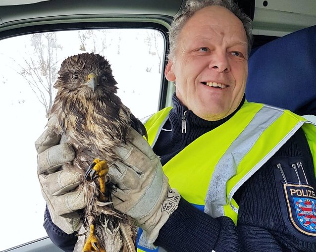 Bild: Noch etwas derangiert, aber gerettet: Autobahnpolizei hilft einen Greifvogel