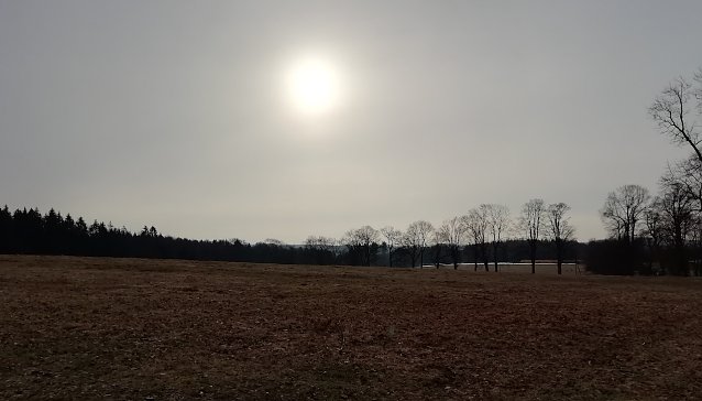 Bild: Im Hochharz