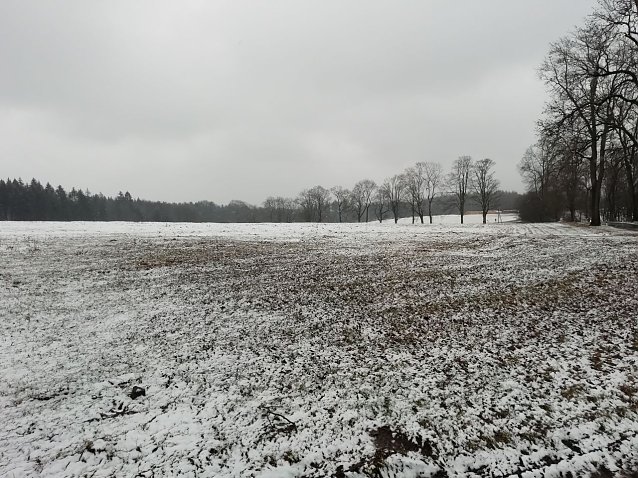 Bild: Tr&uuml;b und frisch war es heute morgen auch in Sophienhof