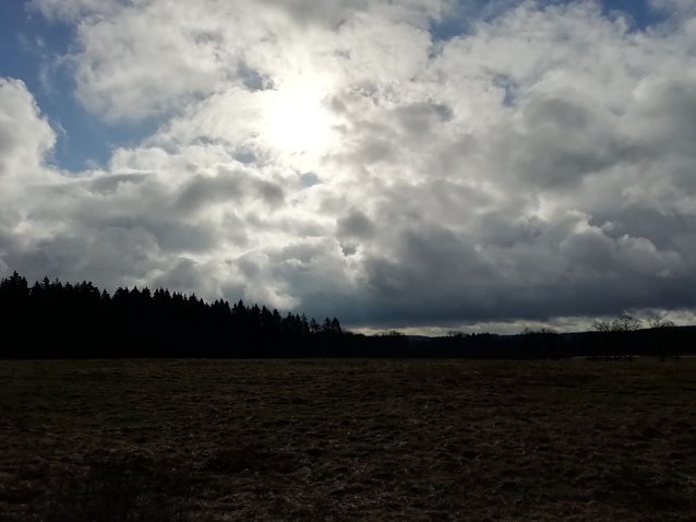 Bild: In Sophienhof schien am morgen noch die Sonne