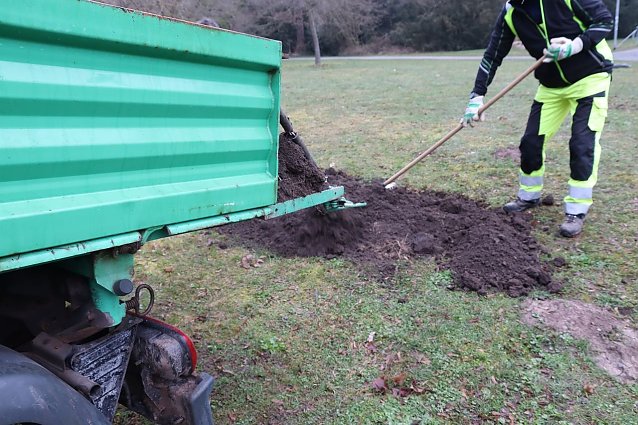 Bild: L&ouml;cher verf&uuml;llt: im Stadtpark kann Entwarnung gegeben werden