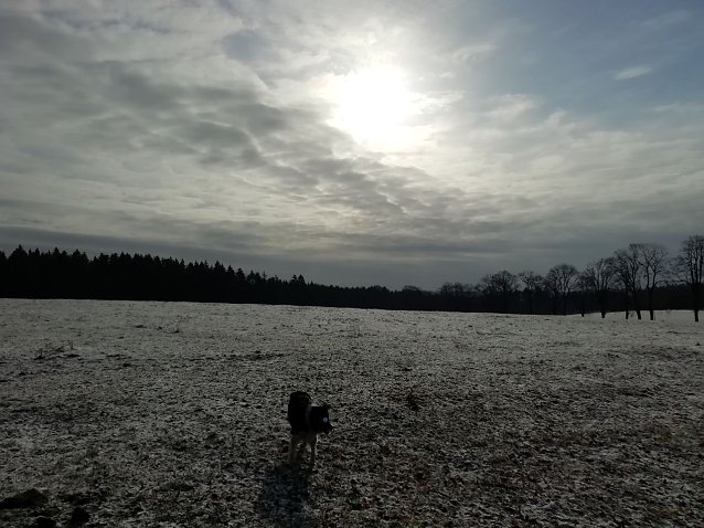 Bild: So sch&ouml;n war es heute in Sophienhof