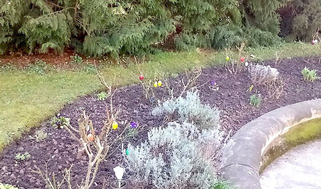 Bild: Pflanzaktion im Park Hohenrode durch die Gartenbaufirma August aus Ellrich.                                                                   
