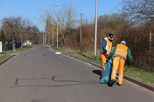 Bild: Abfall wird aufgesammelt