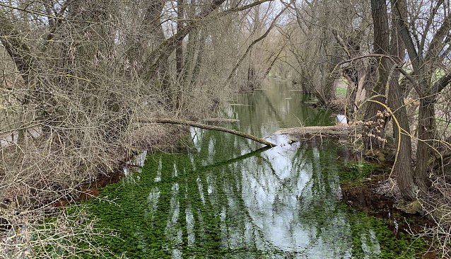 Bild: An der Salzaquelle in Nordhausen/Salza
