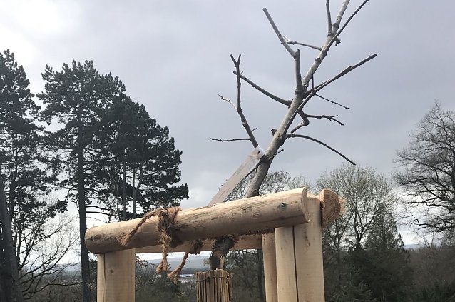 Bild: Zerst&ouml;rte B&auml;ume im Park Hohenrode