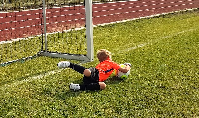 Bild: Wieder den B&auml;llen nachfliegen: In Harztor beginnt  das organisierte Training