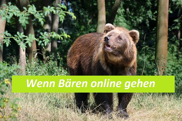 Bild: Den B&auml;renpark Worbis kann man jetzt auch online besuchen