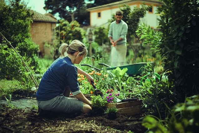 Bild: Mit Unterst&uuml;tzung von Fiskars Blumen im heimischen Garten pflanzen und Bienen ein neues Zuhause schenken