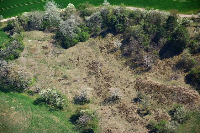 Bild: Heidefl&auml;che auf den Pfaffenk&ouml;pfen bei Steigerthal   