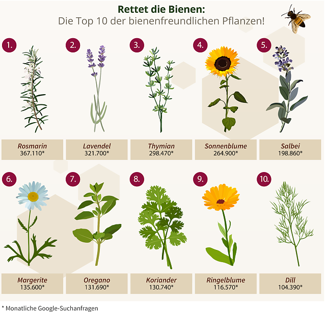 Bild: Die beliebtesten Pflanzen der Bienen