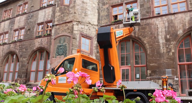 Bild: Mitarbeiter der Gr&uuml;nanlagenpflege bringen Blumenk&auml;sten am Rathaus an.