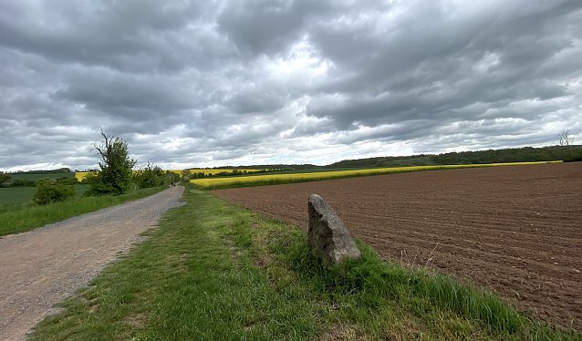 Bild: In der Windl&uuml;cke 