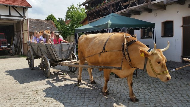 Bild: Auf dem Erlebnisbauernhof in Kleinberndten freut man sich schon auf die Sommerferien