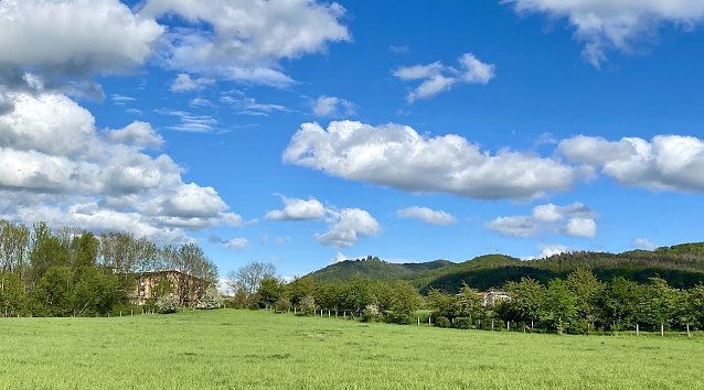 Bild: Am Stausee Kelbra