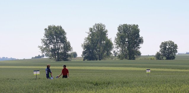 Bild: "Feldtag" bei Hochstedt