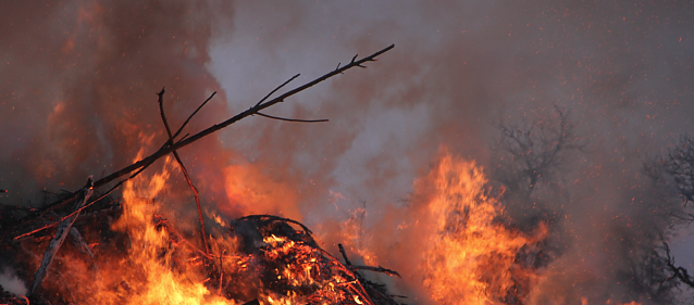 Bild: Waldbrandgefahr in Th&uuml;ringen, Symbolbild