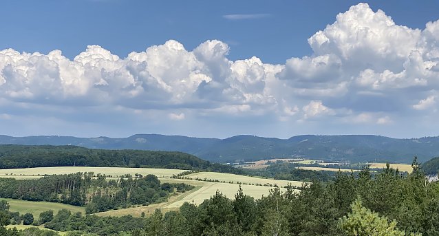 Bild: Blick von den H&ouml;rninger Klippen